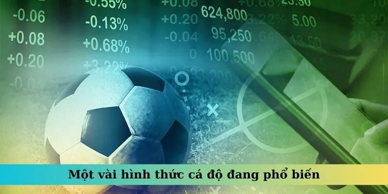 Một vài hình thức cá độ đang phổ biến